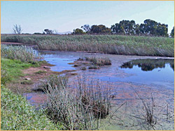 Diep River at Lookout Point